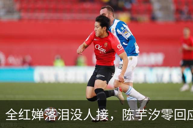 全红婵落泪没人接，陈芋汐零回应，搭档关系被撕开，不再演体面